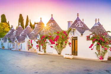 Alberobello and Bari guided private tour with transportation
